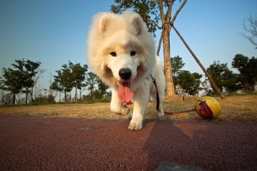 IMG_4480.jpg