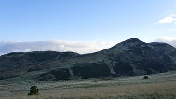 _DSC0282.JPG