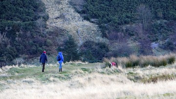 _DSC0288.JPG
