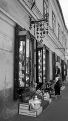 DSC01794.jpg
