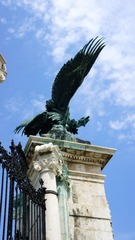 DSC01797.JPG