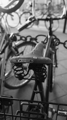 DSC01652.JPG