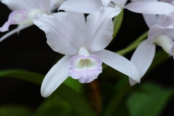 IMG_1320.JPG