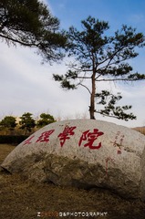 DSC_3113.jpg