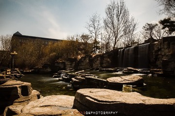 DSC_3161.jpg