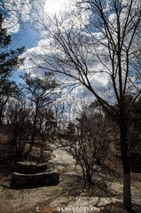 DSC_3243.jpg
