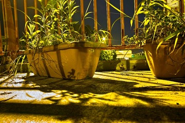 SDIM0134