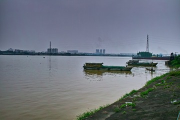 SDIM0141
