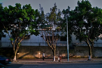 SDIM0320