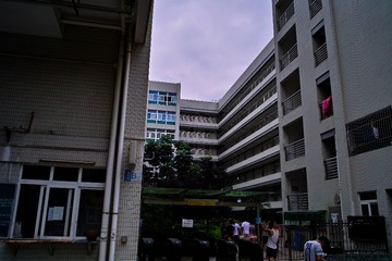 SDIM0383