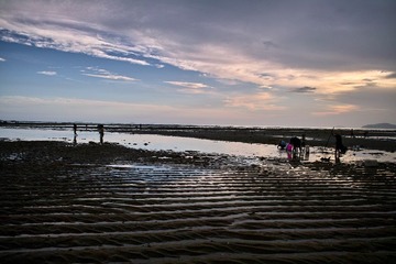 SDIM0661