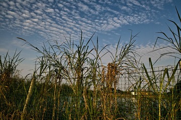 SDIM0857
