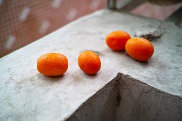 SDIM3100