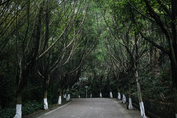 SDIM3117