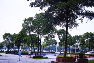 DP2Q0708