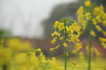 IMG_4857.JPG