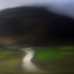 DSC_6572-2