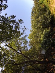497275