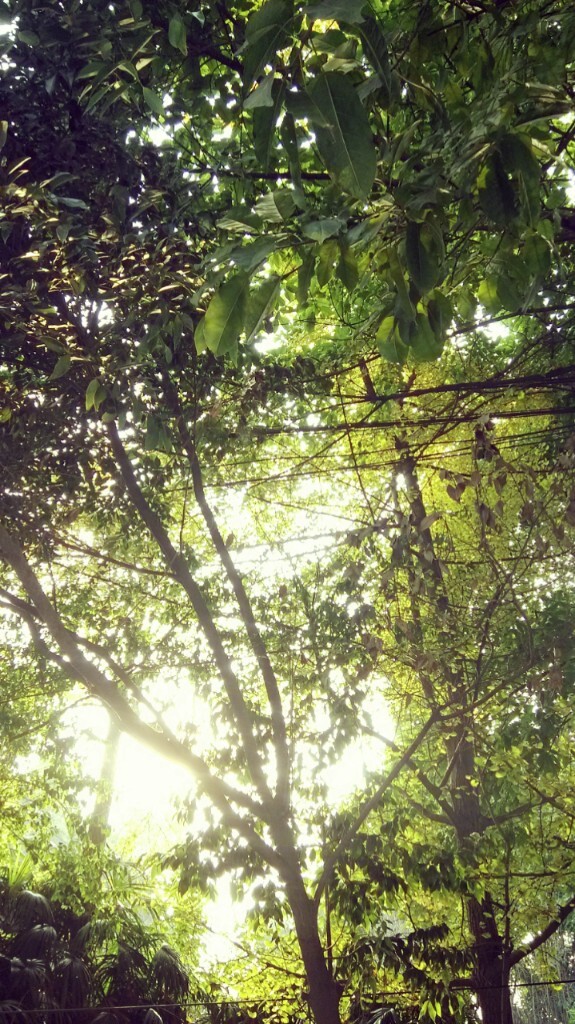郫县，望丛祠外，站在马路牙子上手机那么一扬45度注意是45度噢然后哎呀我去点下手指头就拍好了诶！好神奇！！你们有没有跟我一样是这么觉得的呢？