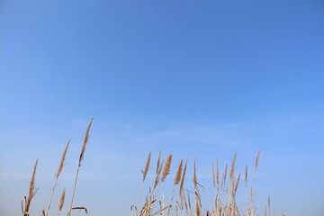 IMG_0434.jpg