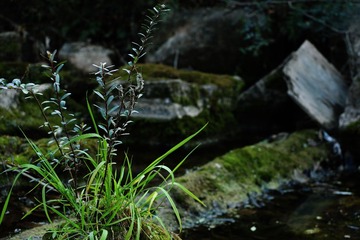 IMG_0444.jpg