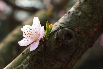 IMG_0753.JPG