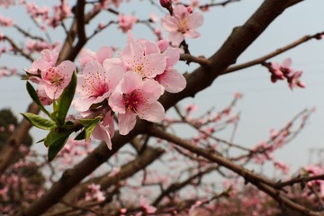 IMG_0812.JPG