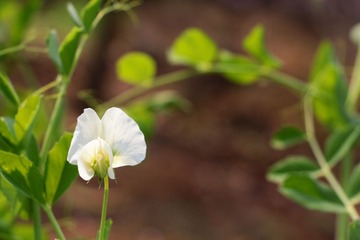 IMG_0844.JPG