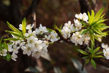 IMG_0846.JPG