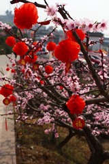 IMG_0885.JPG