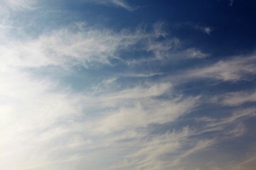 IMG_090611.jpg