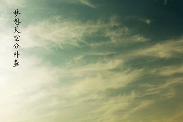 IMG_0906.jpg
