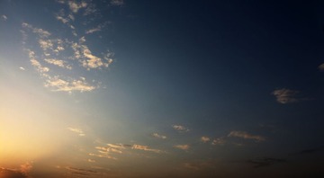 IMG_1262.jpg
