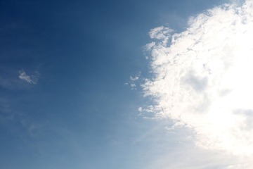 IMG_1625.jpg