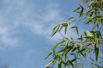 IMG_1649.jpg