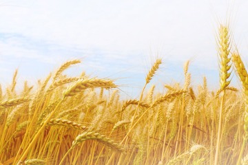 IMG_1748_副本.jpg