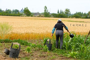 IMG_1789.jpg