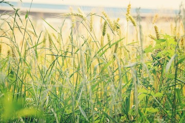 IMG_1805_副本.jpg