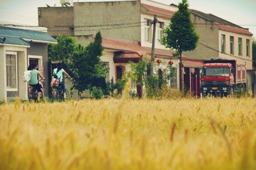 IMG_1824_副本.jpg
