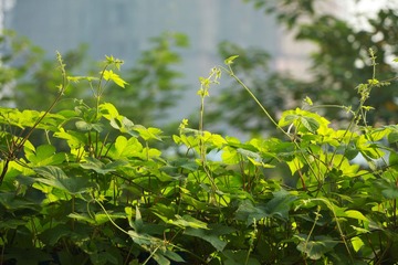 IMG_2193.jpg