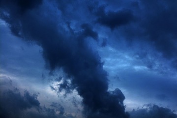 IMG_2195.jpg