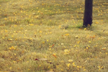 IMG_3368_