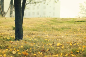 IMG_3372_