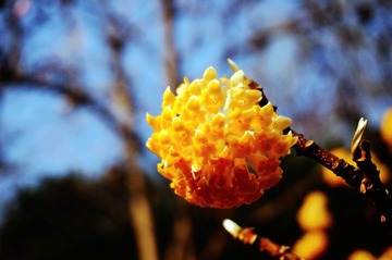 DSC01636_副本_1M.jpg