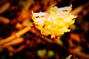 DSC01640_副本_1M.jpg