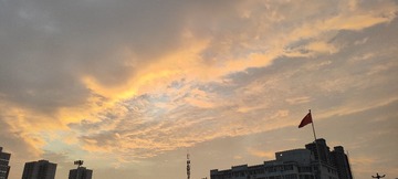 1000035778
