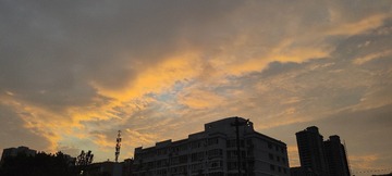 1000035774