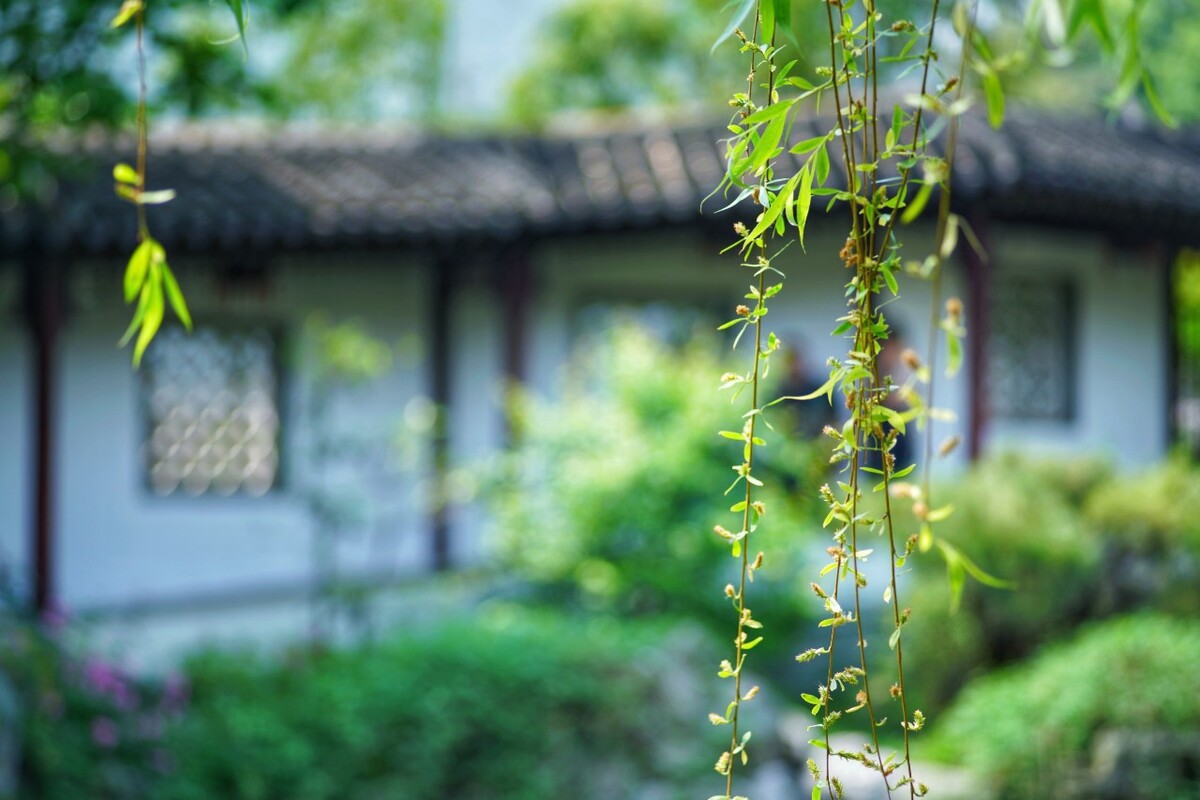 瞻园。<br />
水榭蔽影，垂柳依依。