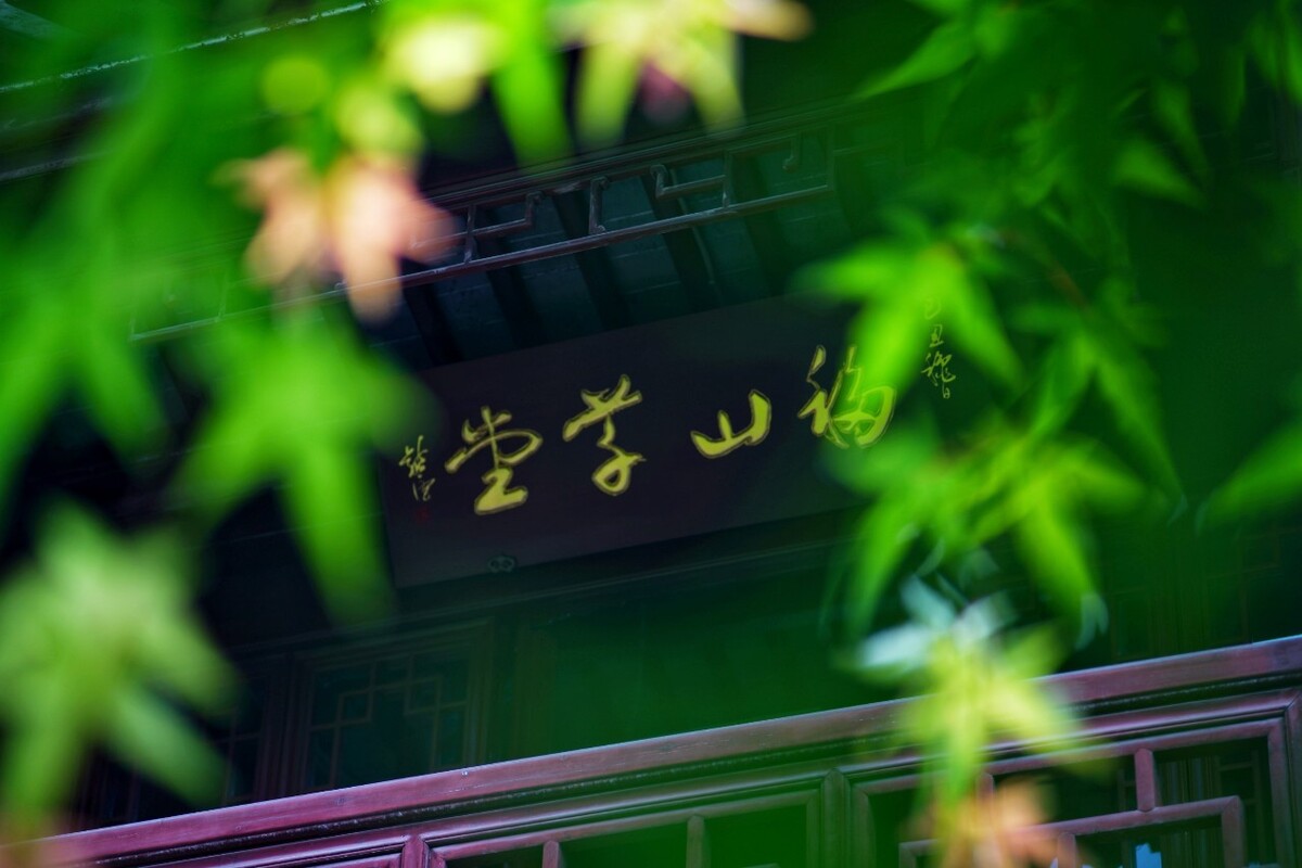 瞻园。<br />
移山草堂，绿叶飘拂。