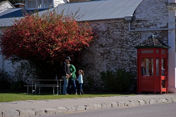 DSC08312-2-51